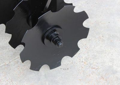 Closeup of Wicked Warrior Tandem Disc notched blade