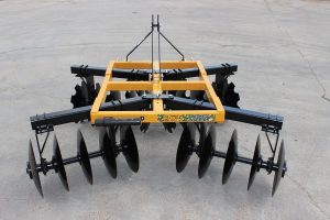 Full view of Wicked Warrior Tandem Disc