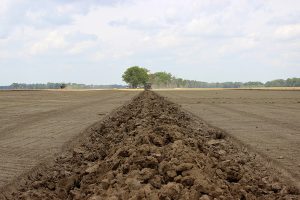 Straight-on view of a levee being build with AMCO LJ6 Levee Plow