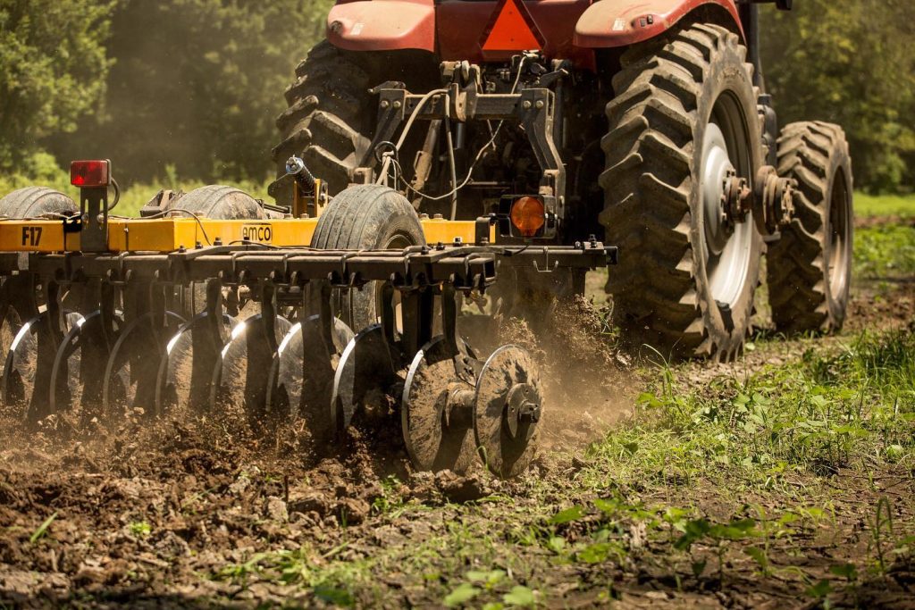 Closeup of F17 building food plot